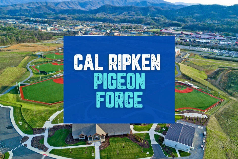 Collection of cal ripken pigeon forge in a gallery layout