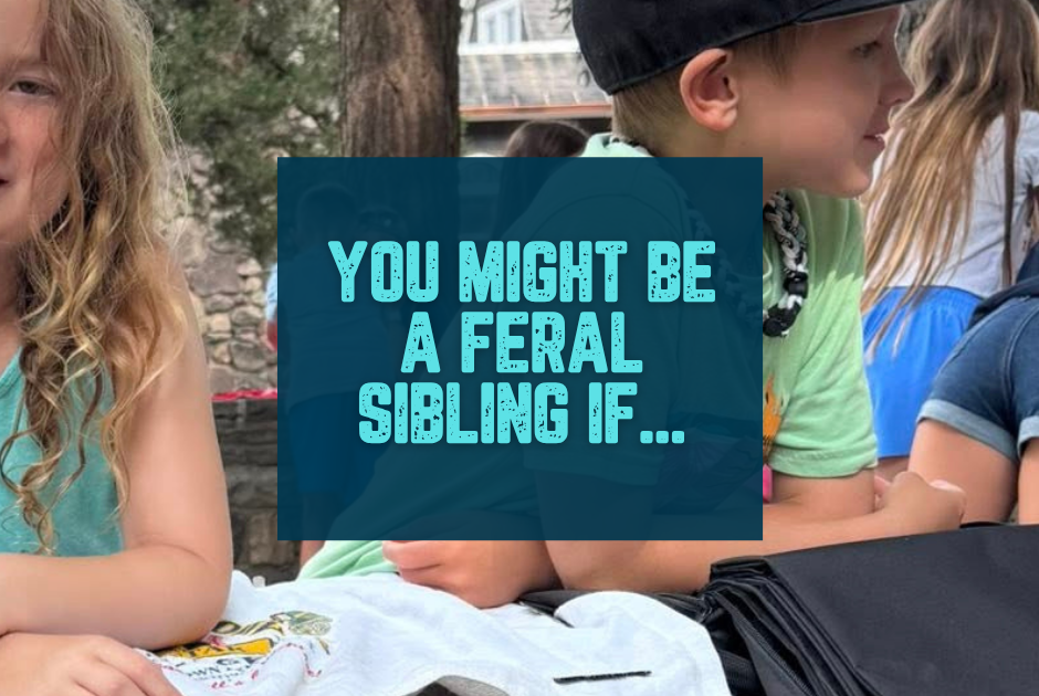 Collection of You Might Be Raising a Feral Baseball Sibling If... in a gallery layout