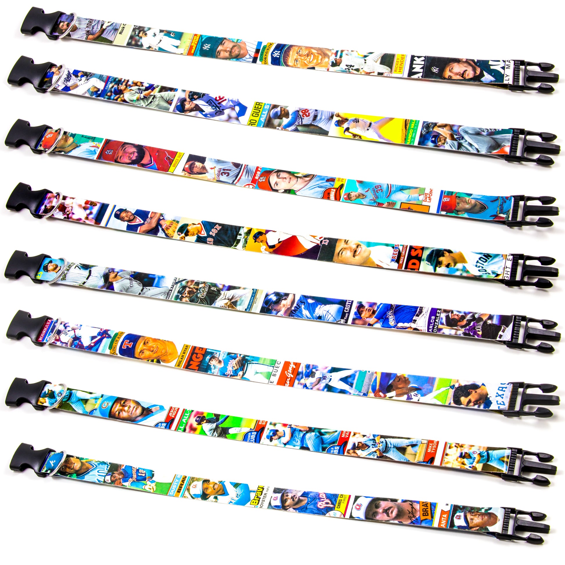 baseball card dog collars
