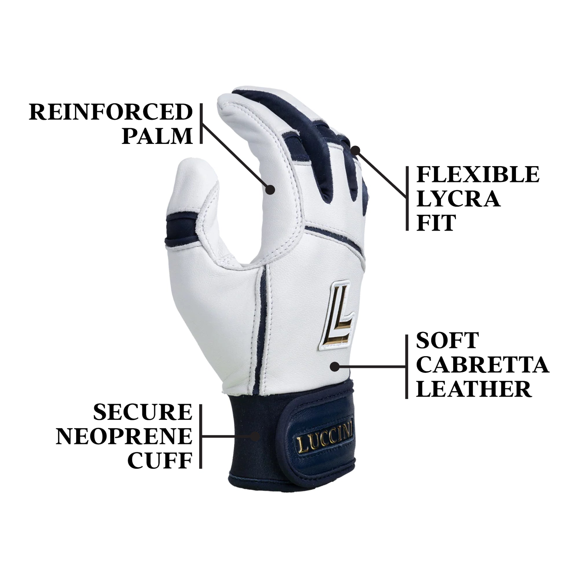 Collection of Glove with labeled features on a white background in a gallery layout