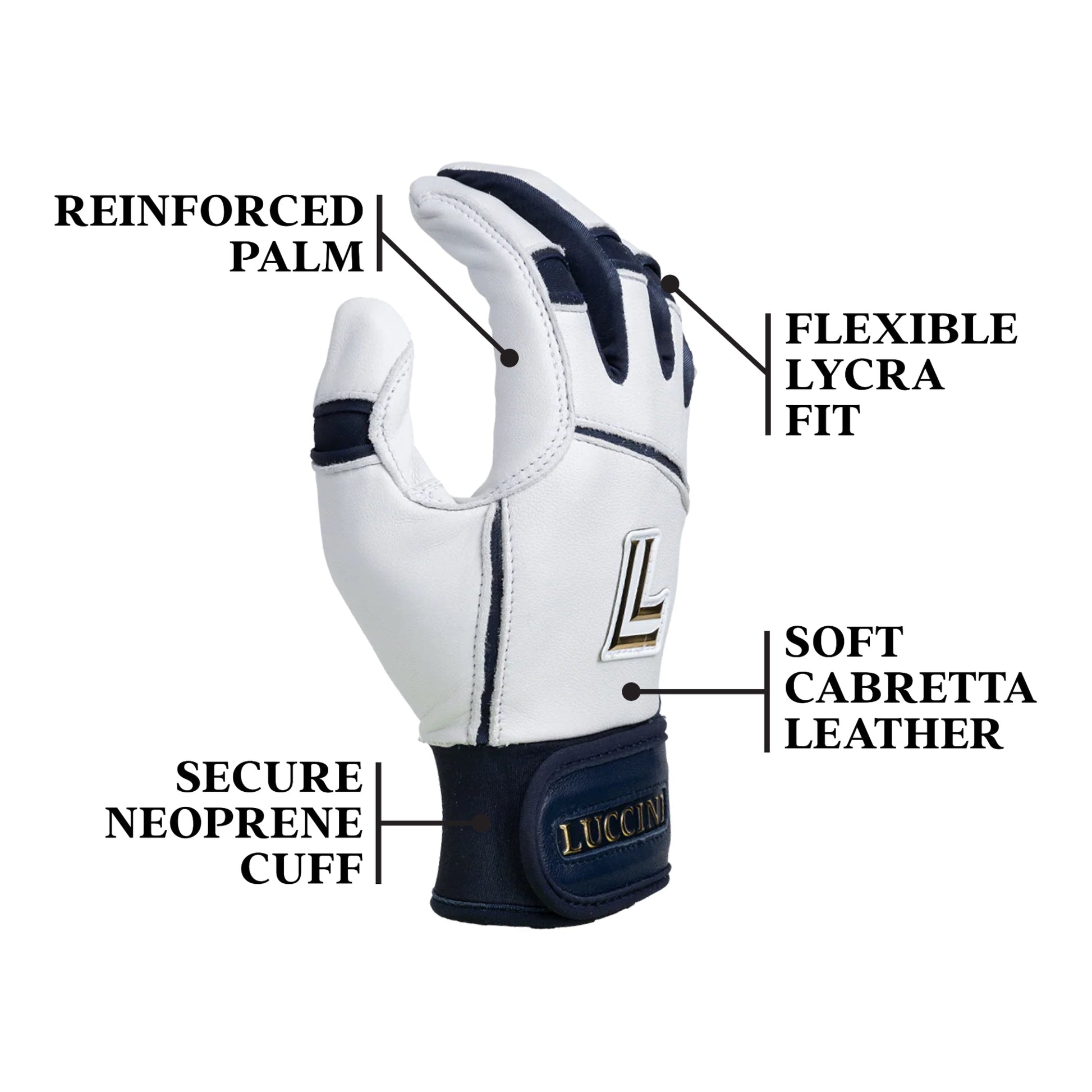 Glove with labeled features on a white background