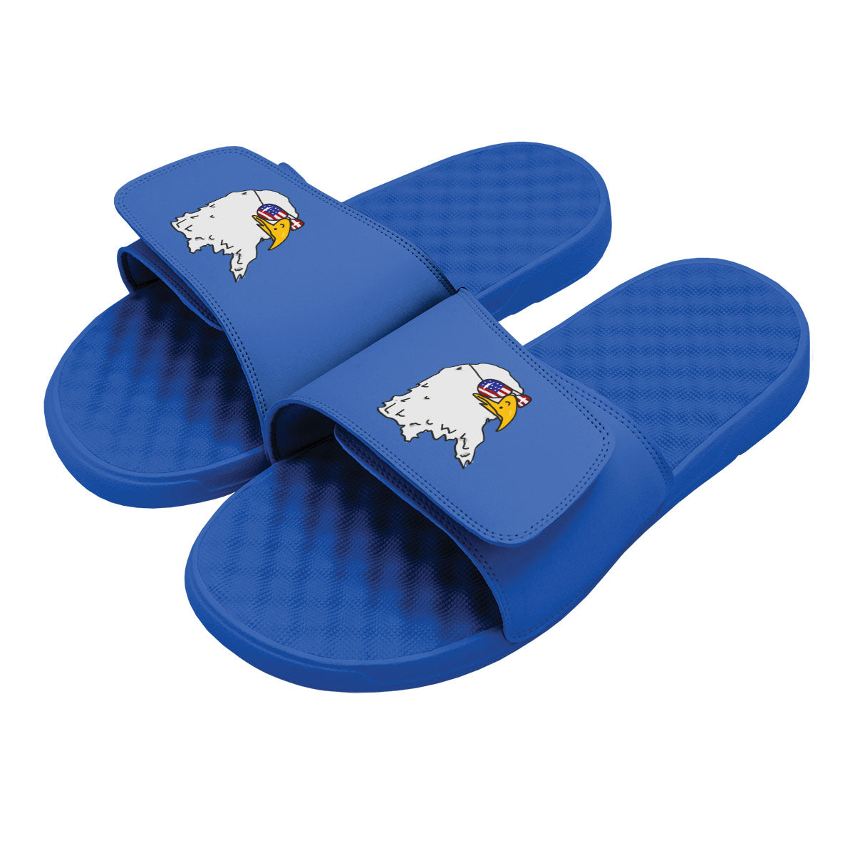 Collection of Blue slides with a bald eagle on a white background in a gallery layout