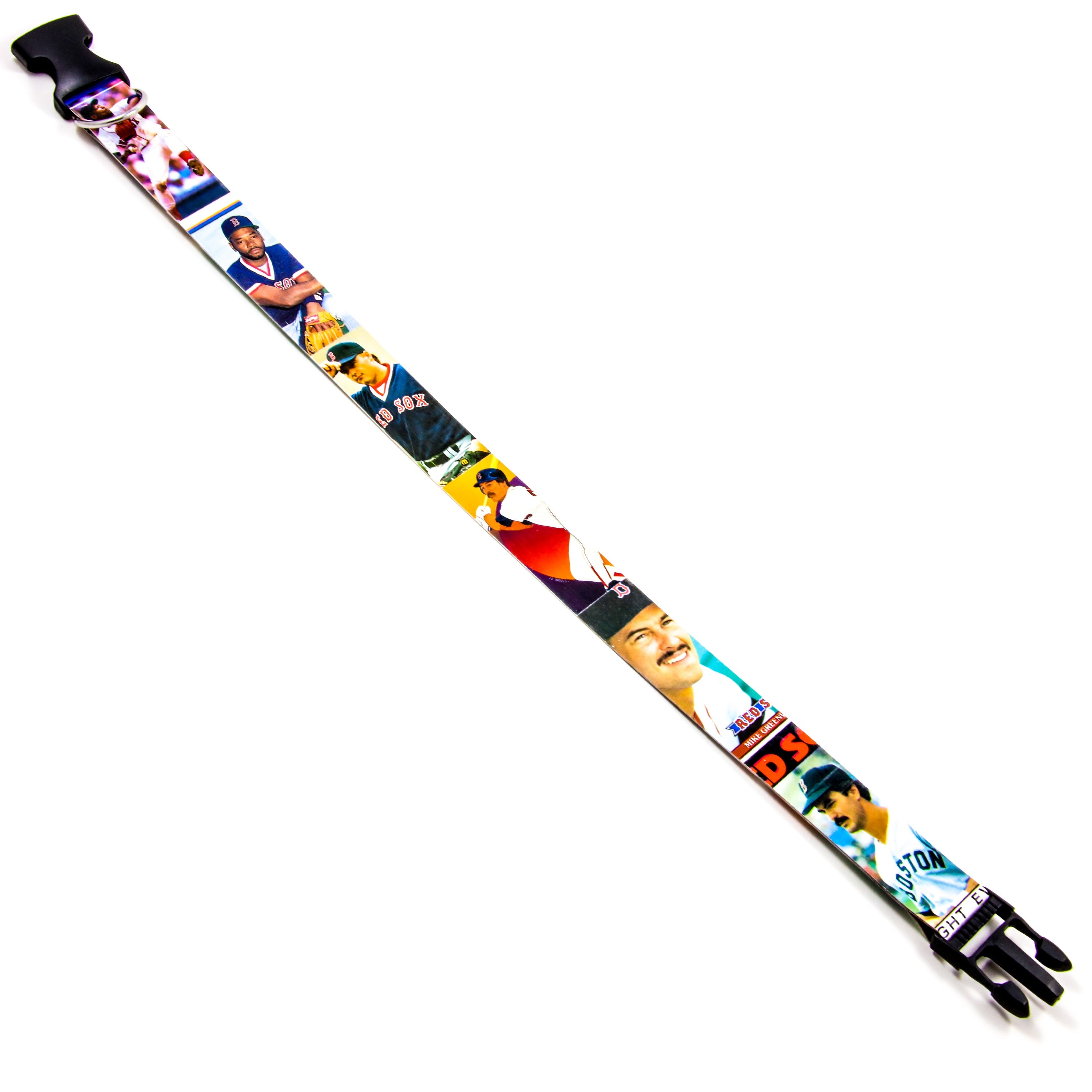 Collection of baseball cards themed dog collar in a gallery layout
